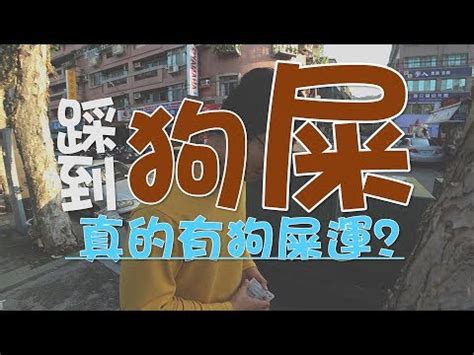 踩到狗大便號碼|踩狗便運勢大爆發